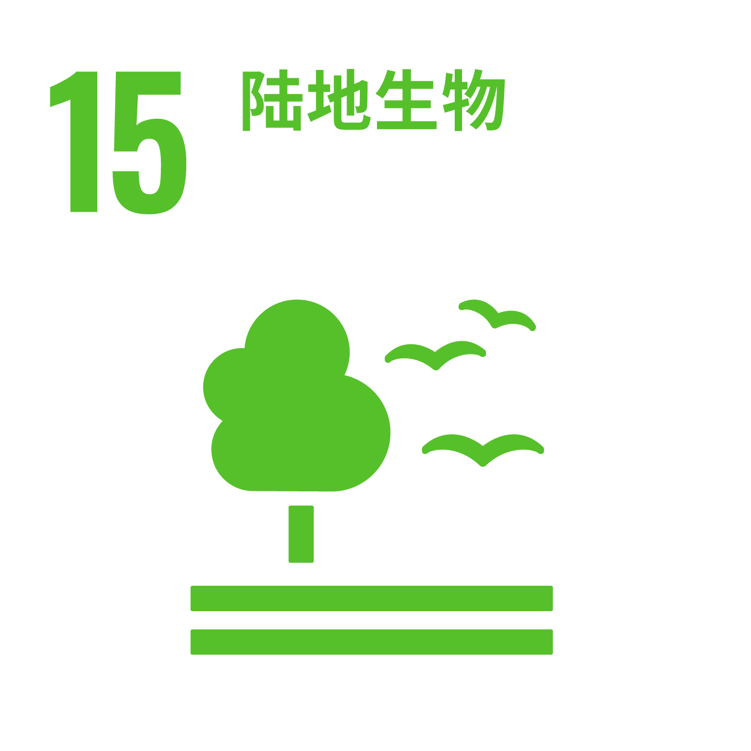 Self Photos / Files - C_SDG_inverted_WEB-15